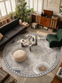 Ringed Agate Gray Modern Bordered Rug