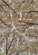 Sky Dome Earth Tone Modern Rug
