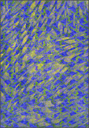 Sparrow Blue Animal Print Modern Rug