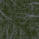 Night Sky Dome Green Modern Rug