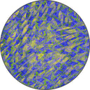 Sparrow Blue Animal Print Modern Rug