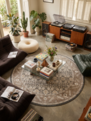 Classic Persian Brown Bordered Rug
