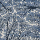 Sky Dome Blue Modern Rug